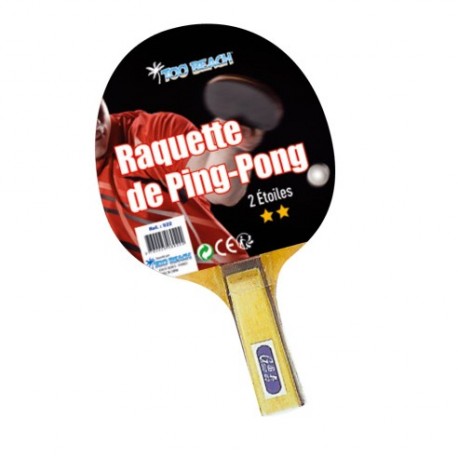RAQUETTE PING PONG 2 ETOILES