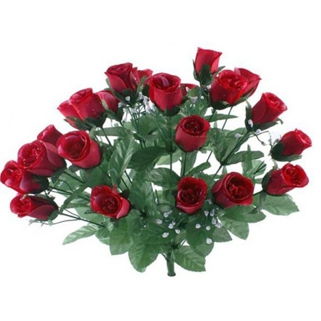 ROSE BOUTONX24 +G D EAU +GYPSO H49 BORDEAUX