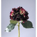 TIGE ROSE PRINCESSE HT 80CM