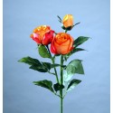 TIGE ROSE ORANGE HT80CM