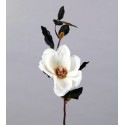 TIGE MAGNOLIA BLANC HT 70CM