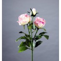 TIGE ROSE PRINCESSE CREME ROSE HT 80CM