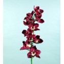 ROSE TIGE BOUTON JAUNE HT 70CM