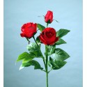 TIGE ROSE BOUTON FUSCHIA HT 70CM