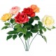 TIGE ROSE ASSORTIES H60