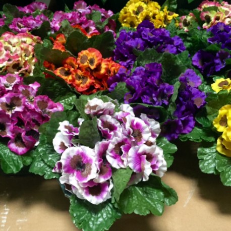 PENSEE X5 - H 22CM ASSORT.