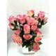 ROSE BOUTON X24 +G D EAU +GYPSO H 49 CREAM PINK