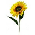 TIGE TOURNESOL 2 FEUILLES H67CM