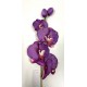 TIGE ORCHIDEE MAUVE 4FLEURS+2BOUTONS