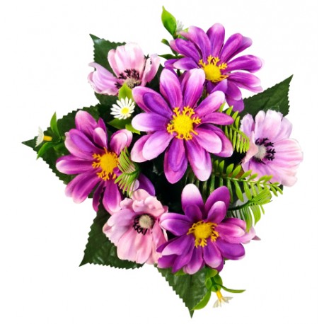 DAISY POPPY X7 HT 23CM ASS.