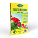 ENGRAIS GERANIUMS PLTES FLEURIES 1 KG