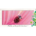 CARTE 23X12 COCCINELLE