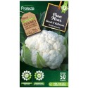 POTAG CHOU FLEUR geant automne