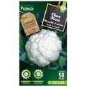 POTAG CHOU FLEUR toutes saisons