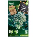 POTAG CHOU BROCOLI calabrais jet vert
