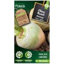 POTAG CHOU NAVET RUTABAGA jaune
