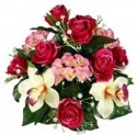ROSE HORTENSIA CYMBIDIUM X14 H38CM