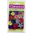 FLEURS PETUNIA HYBRIDE EN MELANGE