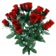 ROSE BOUTON X24 + G D EAU + GYPSO H 49  ROUGE