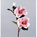 TIGE ROSE ROSE HT43CM