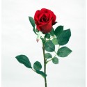 ROSE TIGE ROUGE H43CM