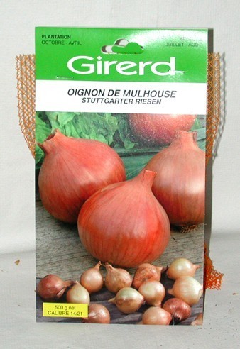 oignons jaunes